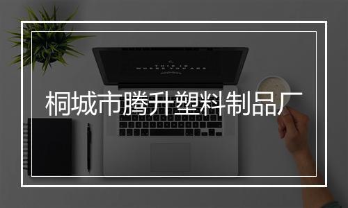 桐城市腾升塑料制品厂