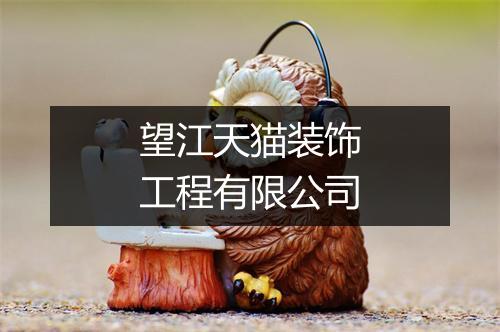 望江天猫装饰工程有限公司