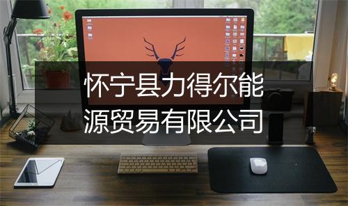 怀宁县力得尔能源贸易有限公司