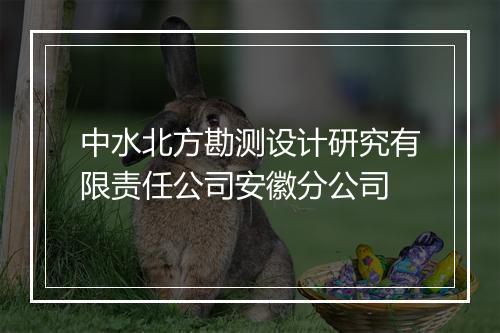 中水北方勘测设计研究有限责任公司安徽分公司