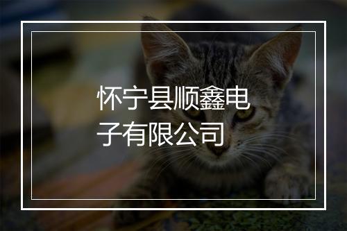 怀宁县顺鑫电子有限公司