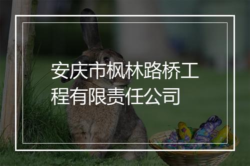 安庆市枫林路桥工程有限责任公司