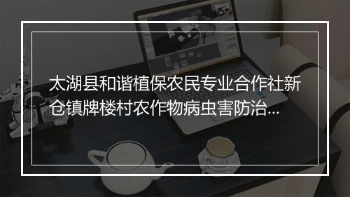 太湖县和谐植保农民专业合作社新仓镇牌楼村农作物病虫害防治专业队