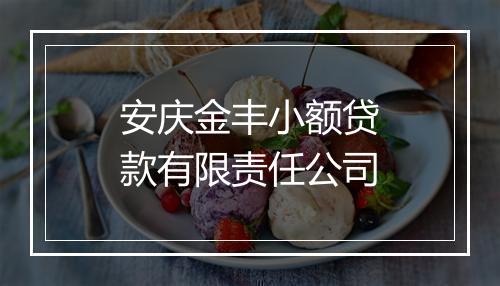 安庆金丰小额贷款有限责任公司