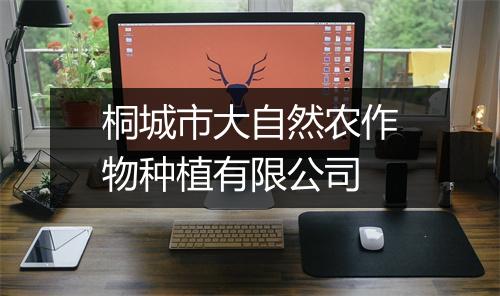 桐城市大自然农作物种植有限公司