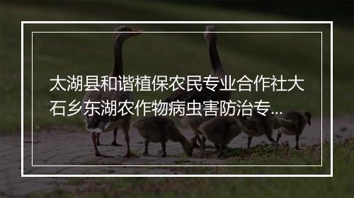 太湖县和谐植保农民专业合作社大石乡东湖农作物病虫害防治专业队