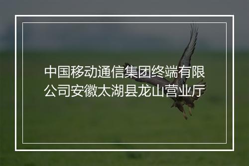中国移动通信集团终端有限公司安徽太湖县龙山营业厅