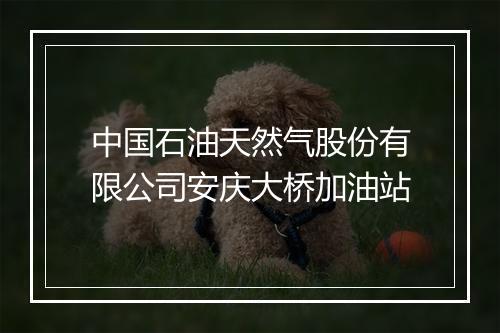 中国石油天然气股份有限公司安庆大桥加油站