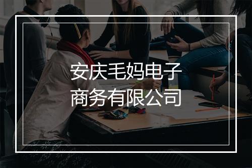 安庆毛妈电子商务有限公司