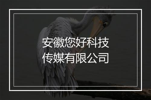 安徽您好科技传媒有限公司