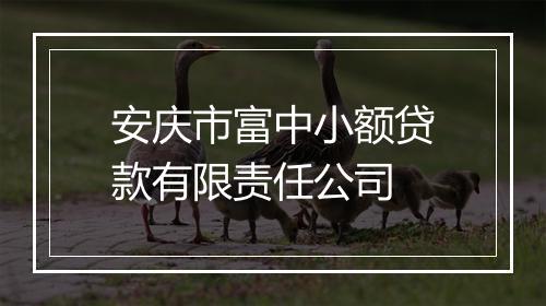 安庆市富中小额贷款有限责任公司