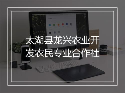 太湖县龙兴农业开发农民专业合作社