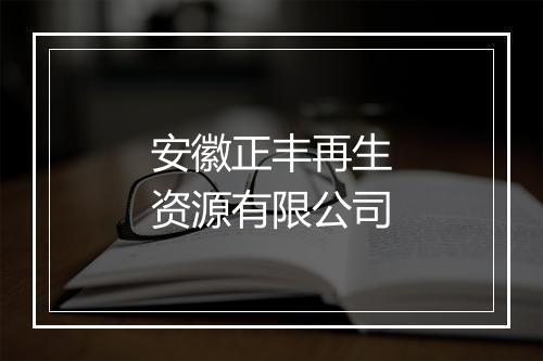 安徽正丰再生资源有限公司