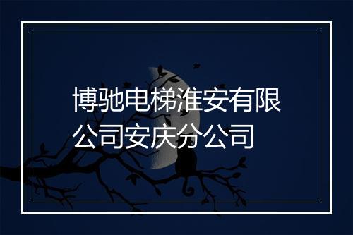 博驰电梯淮安有限公司安庆分公司