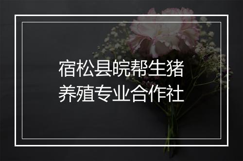 宿松县皖帮生猪养殖专业合作社