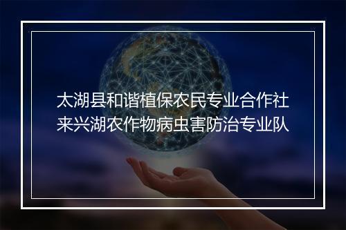 太湖县和谐植保农民专业合作社来兴湖农作物病虫害防治专业队
