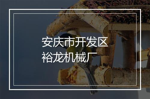 安庆市开发区裕龙机械厂