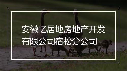 安徽忆居地房地产开发有限公司宿松分公司
