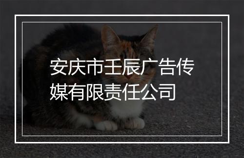 安庆市壬辰广告传媒有限责任公司