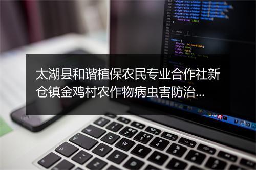 太湖县和谐植保农民专业合作社新仓镇金鸡村农作物病虫害防治专业队