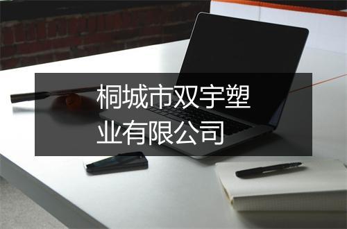 桐城市双宇塑业有限公司