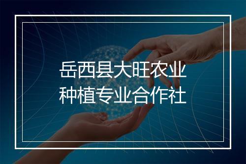 岳西县大旺农业种植专业合作社