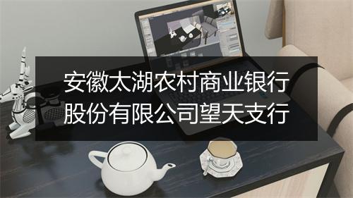 安徽太湖农村商业银行股份有限公司望天支行