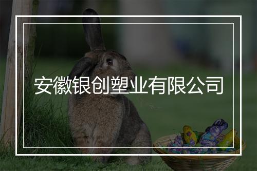 安徽银创塑业有限公司