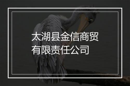 太湖县金信商贸有限责任公司