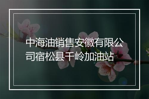中海油销售安徽有限公司宿松县千岭加油站