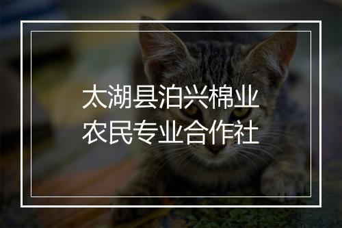 太湖县泊兴棉业农民专业合作社