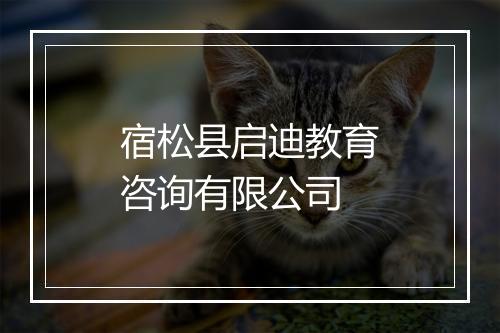 宿松县启迪教育咨询有限公司