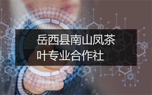 岳西县南山凤茶叶专业合作社