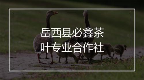 岳西县必鑫茶叶专业合作社