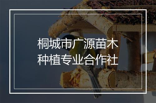 桐城市广源苗木种植专业合作社