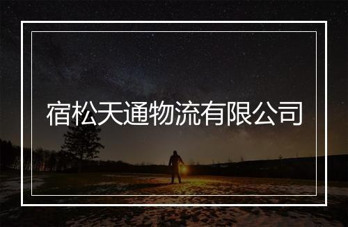 宿松天通物流有限公司