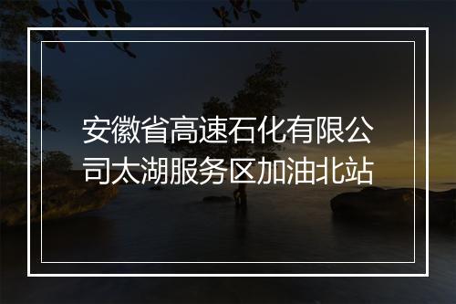 安徽省高速石化有限公司太湖服务区加油北站