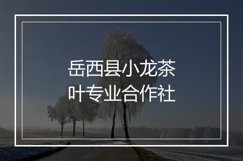 岳西县小龙茶叶专业合作社