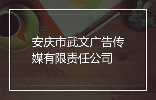 安庆市武文广告传媒有限责任公司