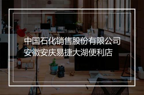 中国石化销售股份有限公司安徽安庆易捷大湖便利店