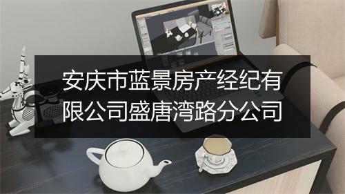 安庆市蓝景房产经纪有限公司盛唐湾路分公司