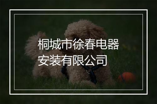 桐城市徐春电器安装有限公司