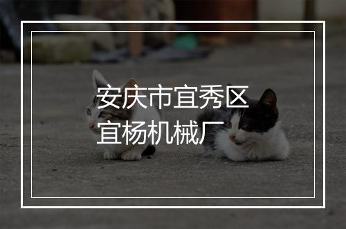 安庆市宜秀区宜杨机械厂