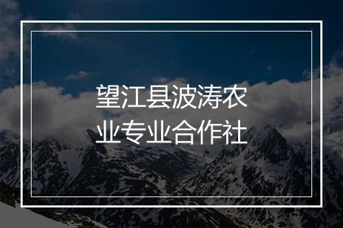 望江县波涛农业专业合作社