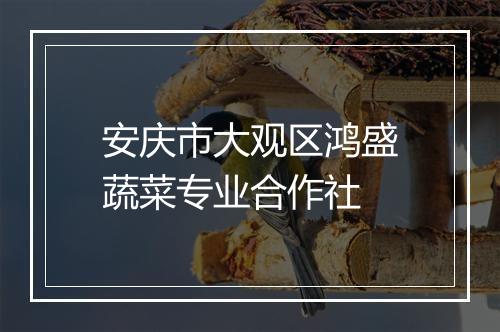 安庆市大观区鸿盛蔬菜专业合作社