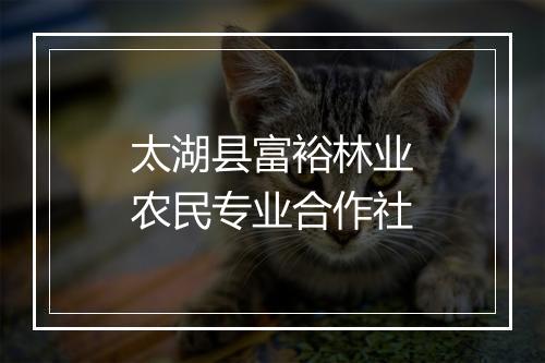 太湖县富裕林业农民专业合作社