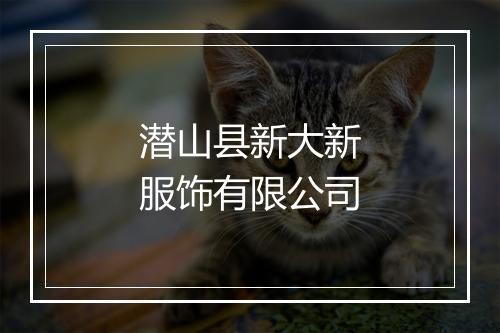 潜山县新大新服饰有限公司