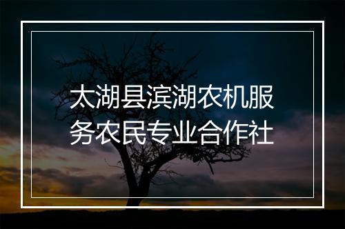 太湖县滨湖农机服务农民专业合作社