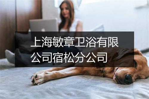 上海敏章卫浴有限公司宿松分公司