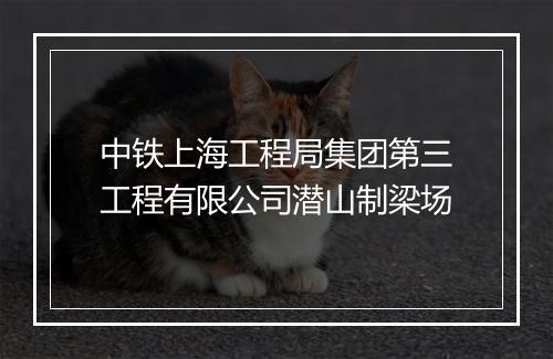 中铁上海工程局集团第三工程有限公司潜山制梁场